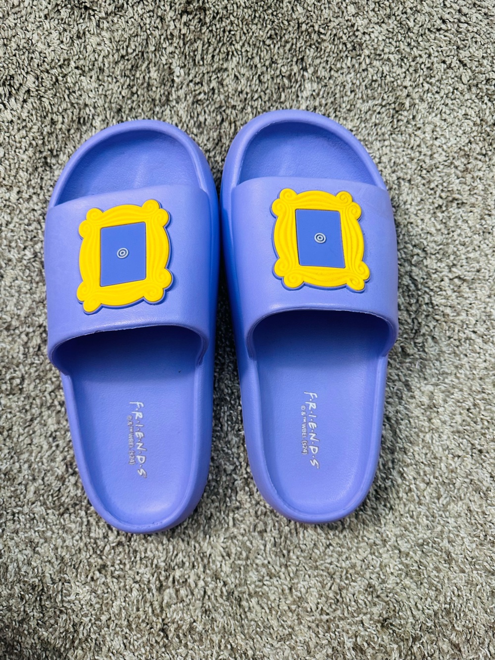 Friends Slides